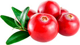 Cereza de café orgánico